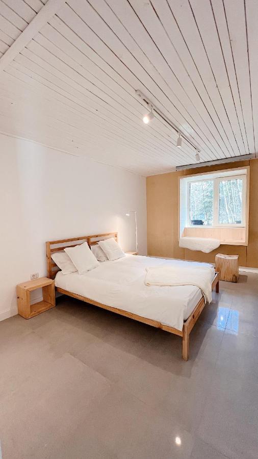 Cabana Sapte Breaza  Exteriér fotografie
