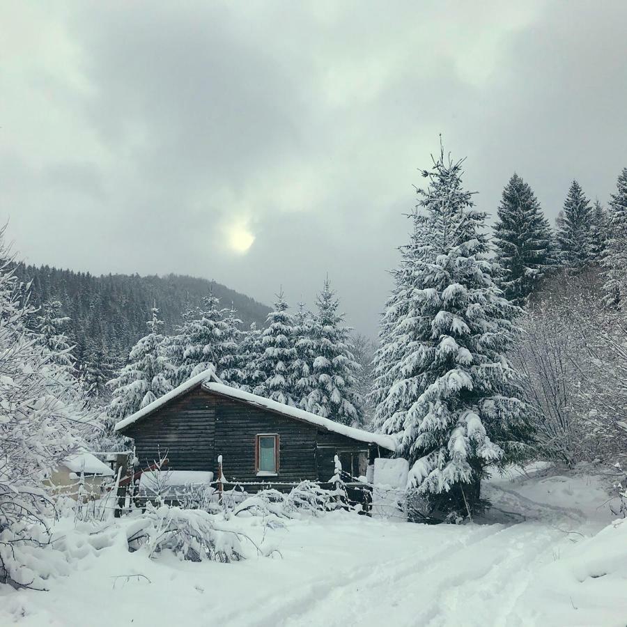 Cabana Sapte Breaza  Exteriér fotografie