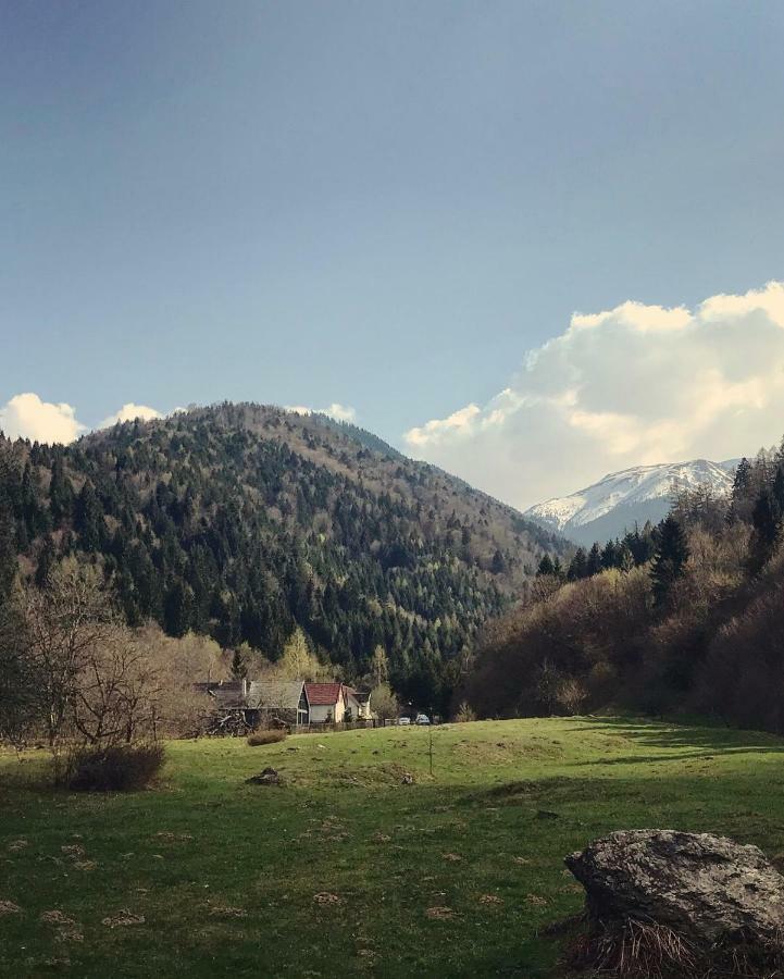 Cabana Sapte Breaza  Exteriér fotografie